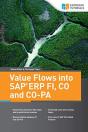 Value Flows Into Sap Erp Fi, Co, And Co-Pa - Preview