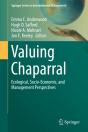 Valuing Chaparral - Preview