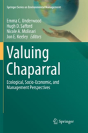 Valuing Chaparral - Preview