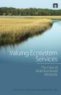 Valuing Ecosystem Services - Preview