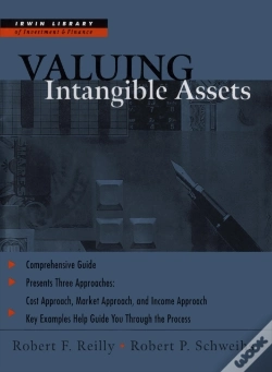 Capa do artigo Valuing Intangible Assets