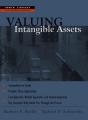 Valuing Intangible Assets - Preview