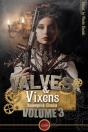 Valves & Vixens Volume 3 - Preview