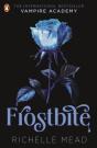 Vampire Academy: Frostbite (Book 2) - Preview