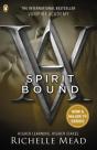 Vampire Academy: Spirit Bound (Book 5) - Preview