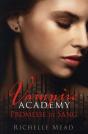 Vampire Academy, T.4 : Promesse De Sang - Preview