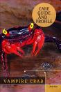 Vampire Crab - Preview
