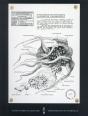 Vampyroteuthis Infernalis - Preview