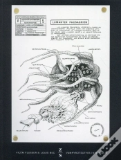Capa do artigo Vampyroteuthis Infernalis
