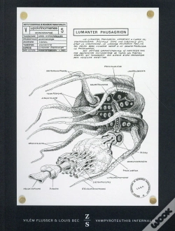 Capa do artigo Vampyroteuthis Infernalis