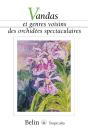 Vandas Et Genres Voisins Des Orchidées Spectaculaires - Preview