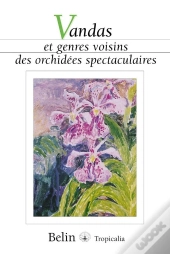 Vandas Et Genres Voisins Des Orchidées Spectaculaires
