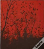 Capa do artigo Vanessa Winship She Dances On Jackson /Anglais
