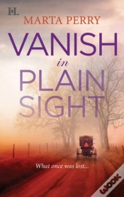 Capa do artigo Vanish In Plain Sight