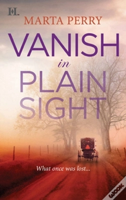 Capa do artigo Vanish In Plain Sight