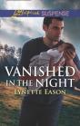 Vanished In The Night - Preview