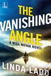 Capa do artigo Vanishing Angle