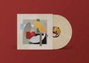 Capa do artigo Vanishing Artefacts - Vinil