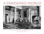 Vanishing World - Preview