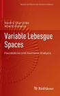 Variable Lebesgue Spaces - Preview