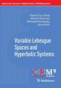 Variable Lebesgue Spaces And Hyperbolic Systems - Preview