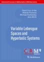 Variable Lebesgue Spaces And Hyperbolic Systems - Preview
