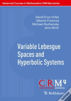 Capa do artigo Variable Lebesgue Spaces And Hyperbolic Systems
