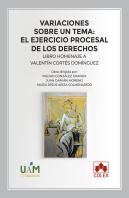 Variaciones Sobre Un Tema El Ejercicio Procesal De Los Dere
