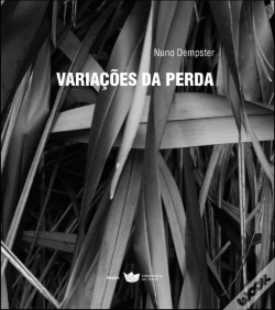Capa do artigo Variações da Perda