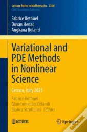 Variational And Pde Methods In Nonlinear Science
