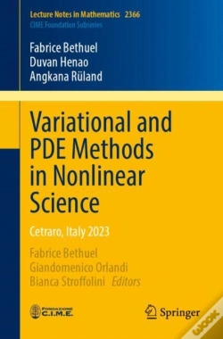 Capa do artigo Variational And Pde Methods In Nonlinear Science