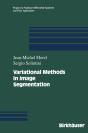 Variational Methods In Image Segmentation - Preview