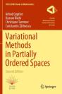 Variational Methods In Partially Ordered Spaces - Preview