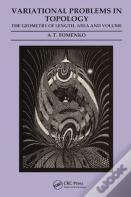 Variational Problems In Topology