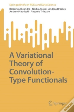 Capa do artigo Variational Theory Of Convolution-Type Functionals