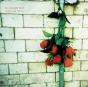 Variations On a Dream - Vinil - Preview
