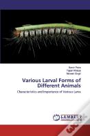 Various Larval Forms Of Different Animals