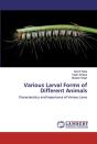 Various Larval Forms Of Different Animals - Preview