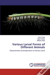 Capa do artigo Various Larval Forms Of Different Animals