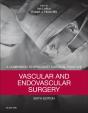 Vascular And Endovascular Surgery E-Book - Preview