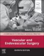 Vascular And Endovascular Surgery E-Book - Preview