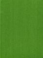 Vascular Plants Of The Pacific Northwest - Preview