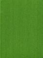 Vascular Plants Of The Pacific Northwest - Preview
