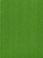 Vascular Plants Of The Pacific Northwest - Preview