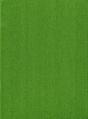 Vascular Plants Of The Pacific Northwest - Preview