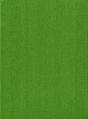 Vascular Plants Of The Pacific Northwest - Preview