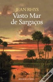 Capa do artigo Vasto Mar de Sargaços