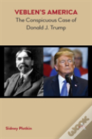 Veblenâ€™S America
