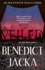 Veiled - Preview