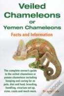 Veiled Chameleons Or Yemen Chameleons